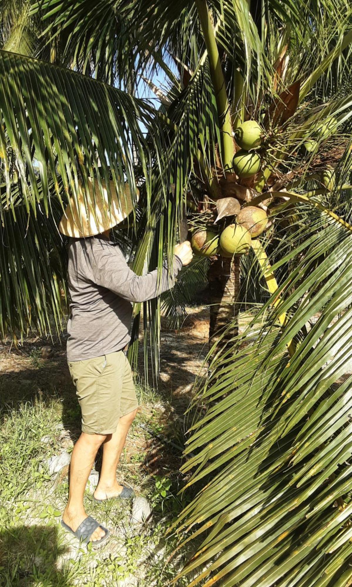 Bonnie Homestay Mui Ne Phan Thiết Esterno foto